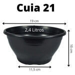 Planta de Sombra - Suculenta - Colar de Pérolas