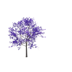 planta de Sol - Arvores - Ipê roxo