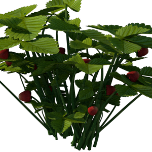 Planta de Sol - Frutifera - Morango